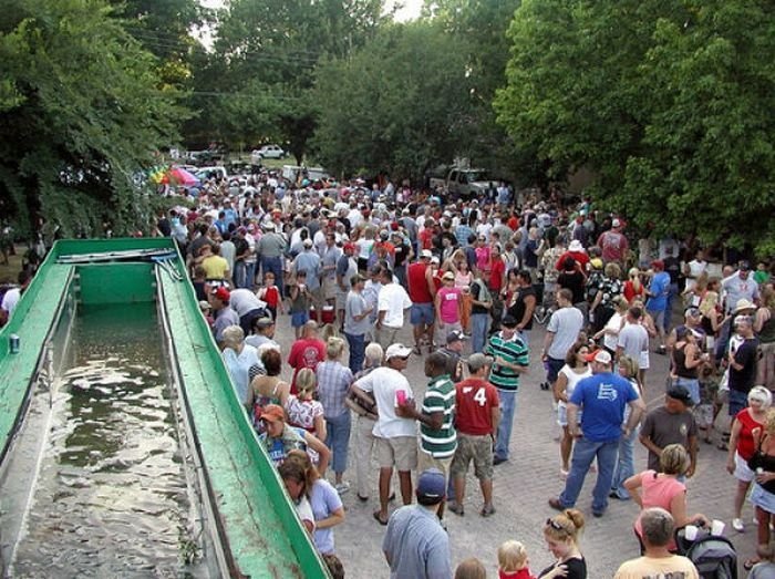 Okie noodling tournament, United States