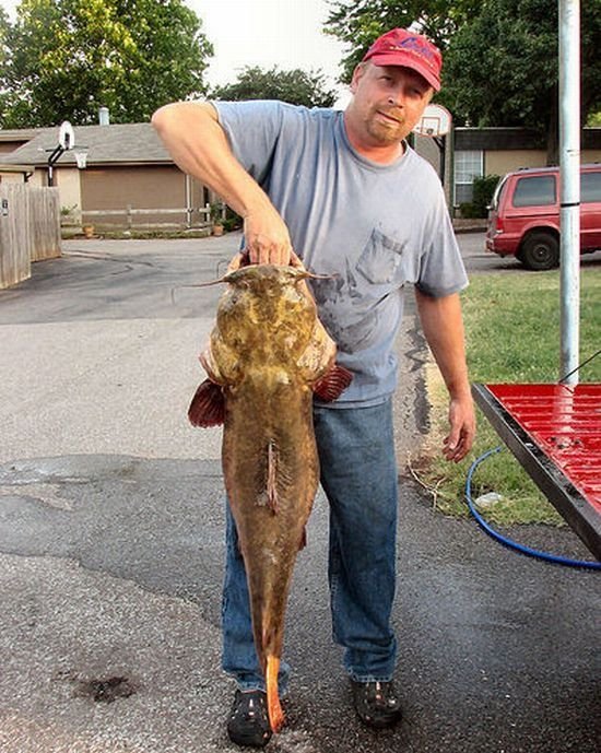 Okie noodling tournament, United States