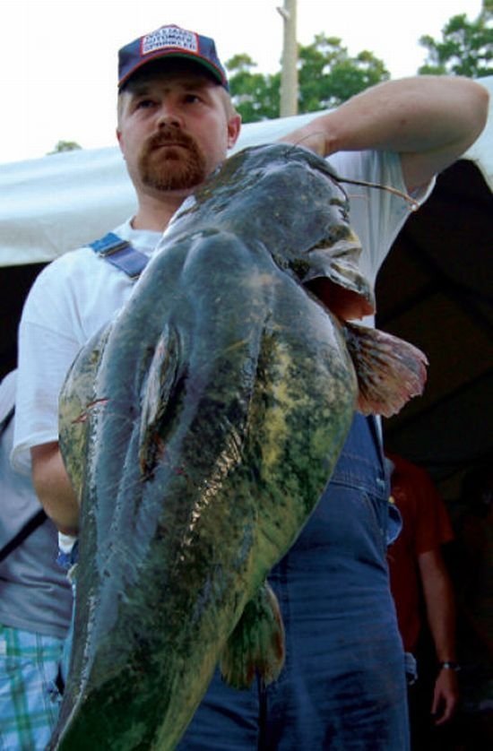 Okie noodling tournament, United States