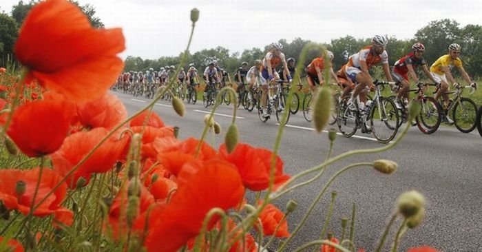 Stage 4 crash, 2010 Tour de Suisse