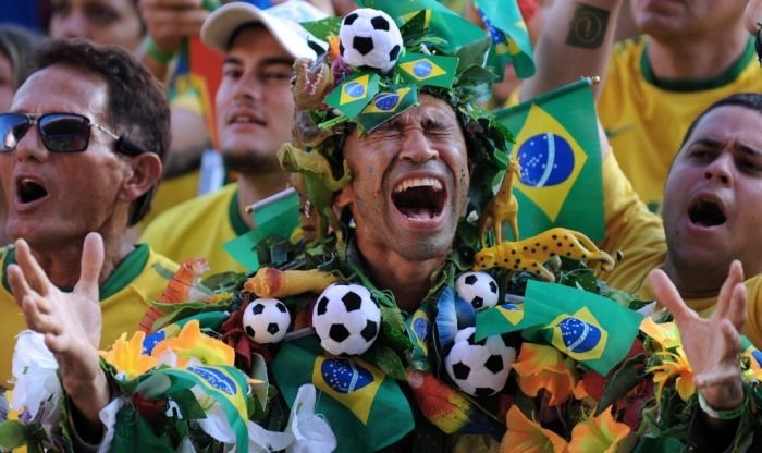 2010 FIFA World Cup fans