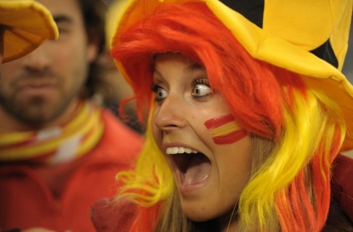 2010 FIFA World Cup fans