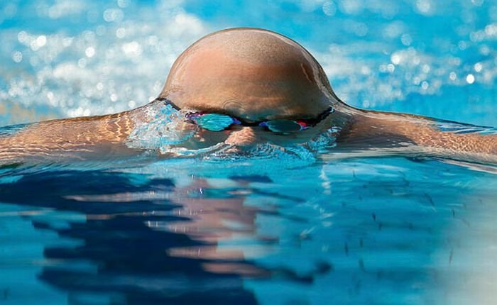 photos of swimmers