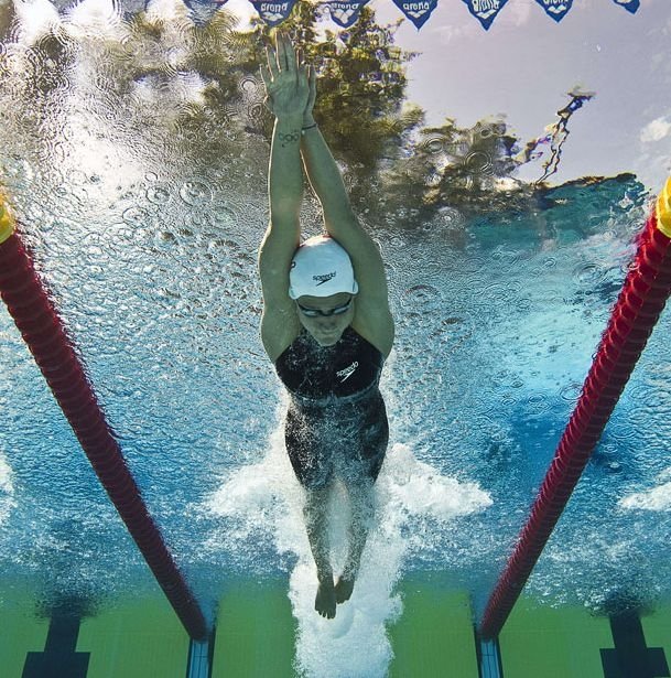 photos of swimmers