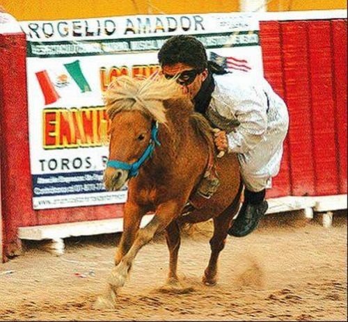 Enanitos Toreros De Torreon Las Vegas