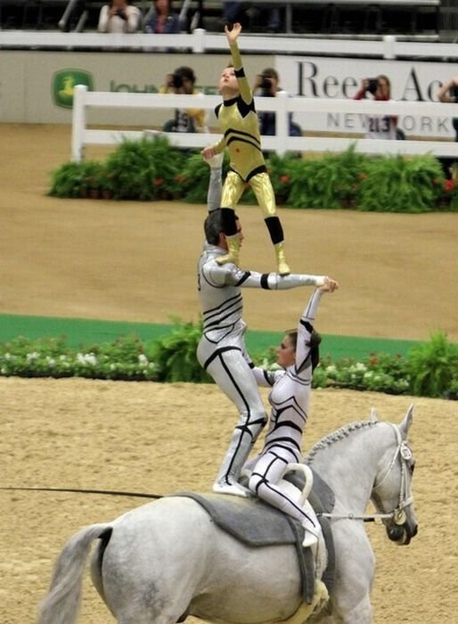 2010 World Equestrian Games, Lexington, Kentucky, United States