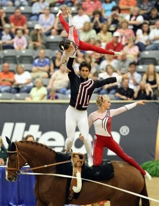 2010 World Equestrian Games, Lexington, Kentucky, United States