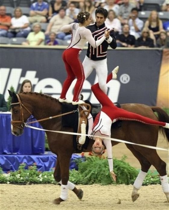 2010 World Equestrian Games, Lexington, Kentucky, United States