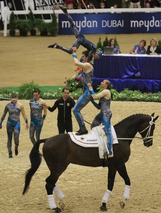 2010 World Equestrian Games, Lexington, Kentucky, United States