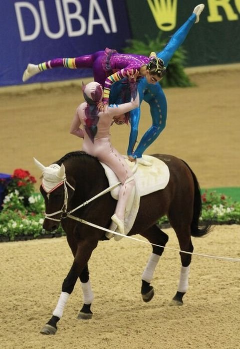 2010 World Equestrian Games, Lexington, Kentucky, United States