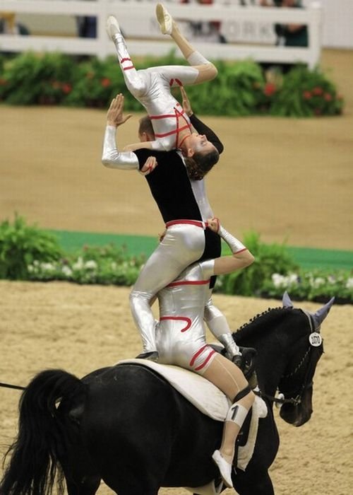 2010 World Equestrian Games, Lexington, Kentucky, United States