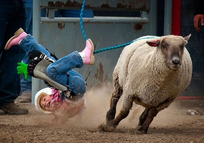 most dangerous moments of rodeo