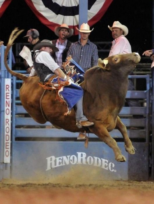 most dangerous moments of rodeo