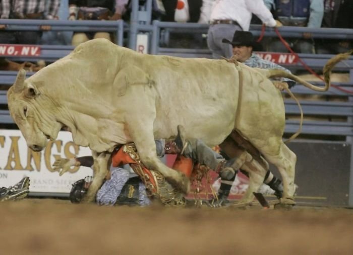 most dangerous moments of rodeo