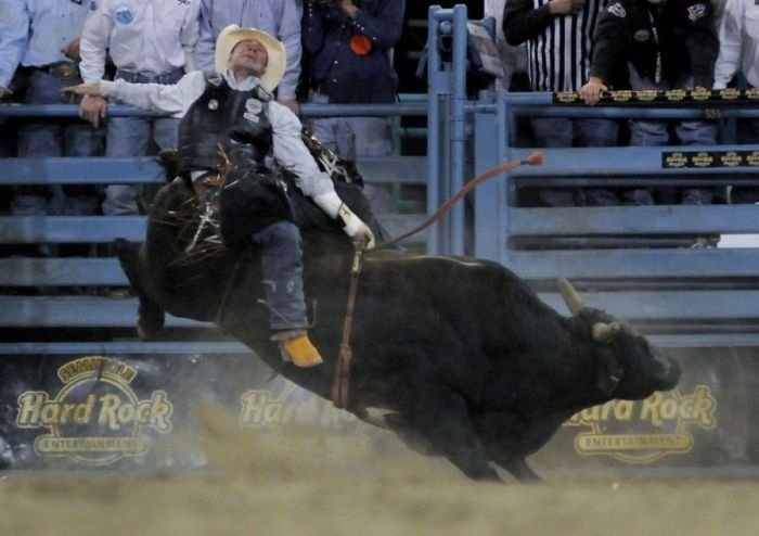 most dangerous moments of rodeo