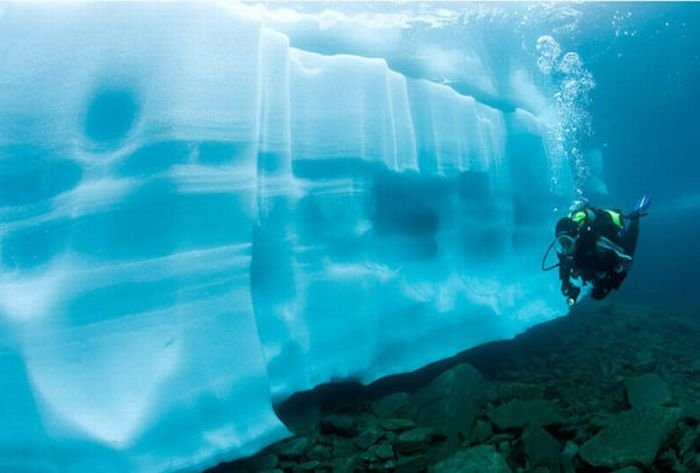 ice diving