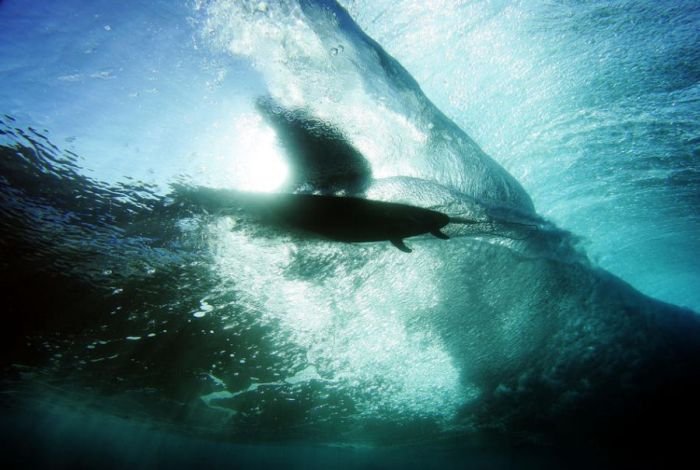 surfing photography