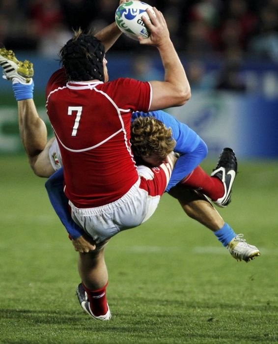 2011 Rugby World Cup, New Zealand