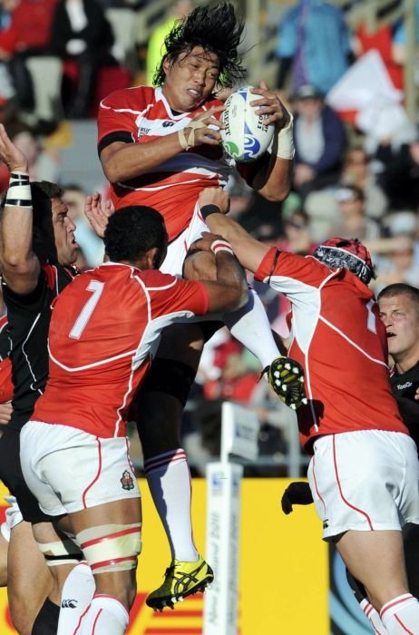 2011 Rugby World Cup, New Zealand