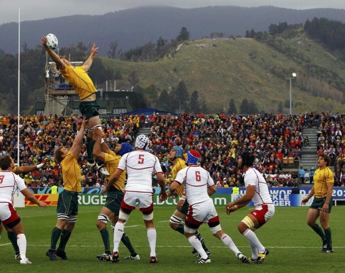 2011 Rugby World Cup, New Zealand