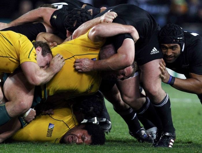 2011 Rugby World Cup, New Zealand