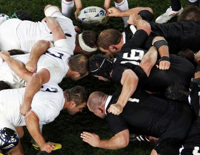 2011 Rugby World Cup, New Zealand