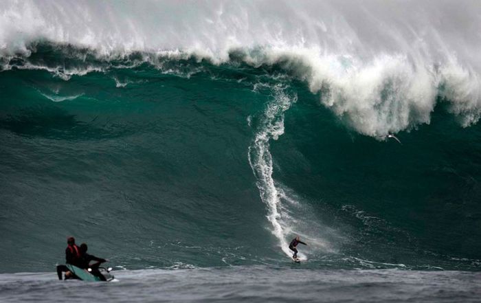 surfing huge waves