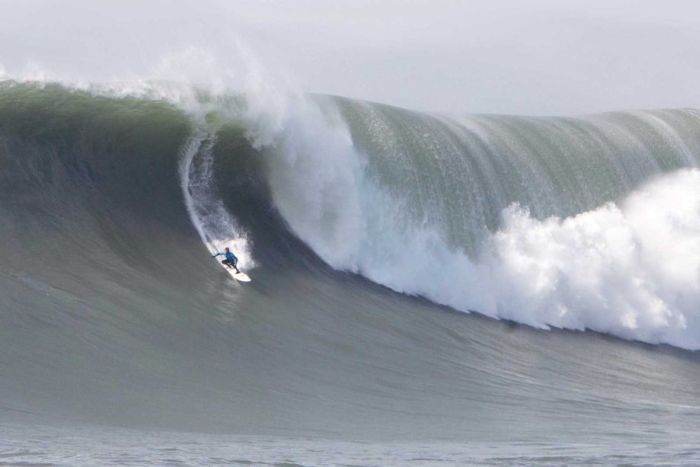 surfing huge waves