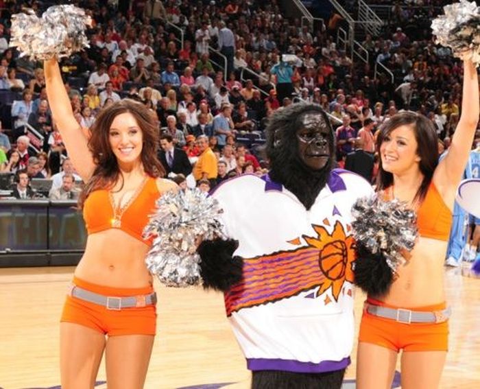 Phoenix Suns NBA cheerleader girls