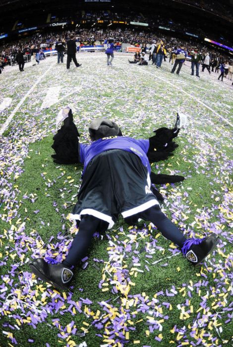 Baltimore Ravens, 2012 Super Bowl XLVII champions