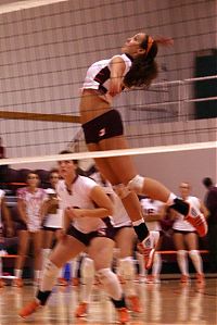 Sport and Fitness: volleyball girls