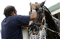 Sport and Fitness: Kentucky derby 2009