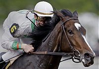 Sport and Fitness: Kentucky derby 2009