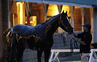 Sport and Fitness: Kentucky derby 2009