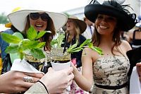 Sport and Fitness: Kentucky derby 2009