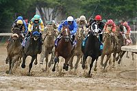 Sport and Fitness: Kentucky derby 2009