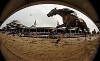 Sport and Fitness: Kentucky derby 2009