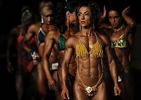 Sport and Fitness: World Bodybuilding Championship 2009