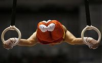 Sport and Fitness: GYMNASTICS/