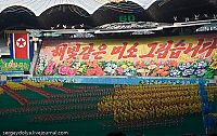 Sport and Fitness: Mass games 2009, North Korea