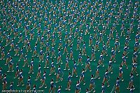 Sport and Fitness: Mass games 2009, North Korea