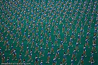 Sport and Fitness: Mass games 2009, North Korea