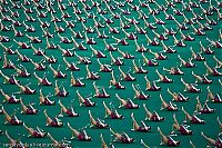 Sport and Fitness: Mass games 2009, North Korea