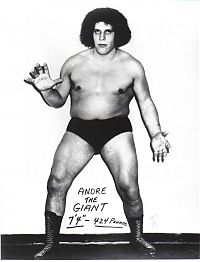 Sport and Fitness: Andre Giant (Andre Rene Russimov), born in Grenoble, France 19 May 1946.