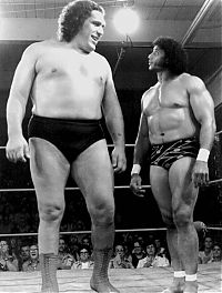 Sport and Fitness: Andre Giant (Andre Rene Russimov), born in Grenoble, France 19 May 1946.