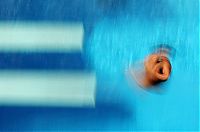 TopRq.com search results: divers all around the world