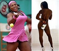 Sport and Fitness: top tennis babes