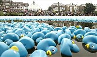 Sport and Fitness: Duck race, London, United Kingdom