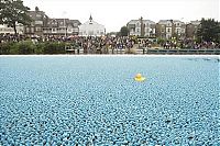 Sport and Fitness: Duck race, London, United Kingdom
