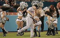 Sport and Fitness: Major League Baseball cheerleader girls